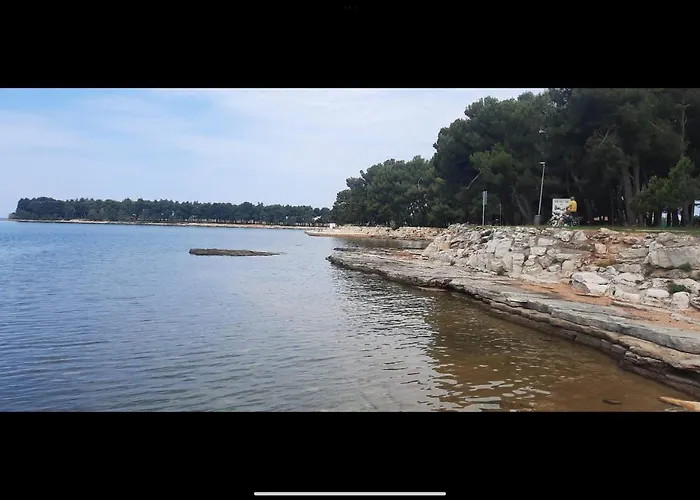 Apartman Sija Novigrad
