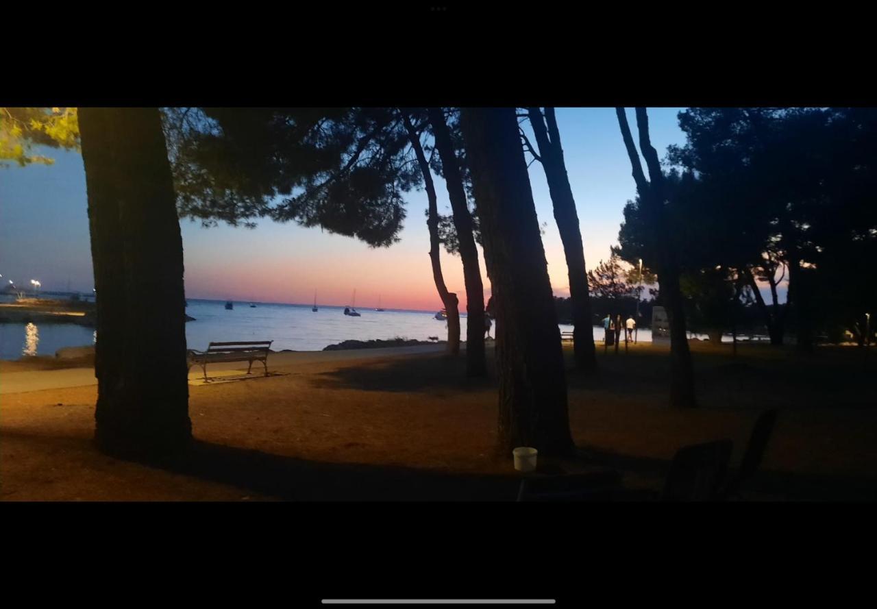 Sija Novigrad * Novigrad Istria