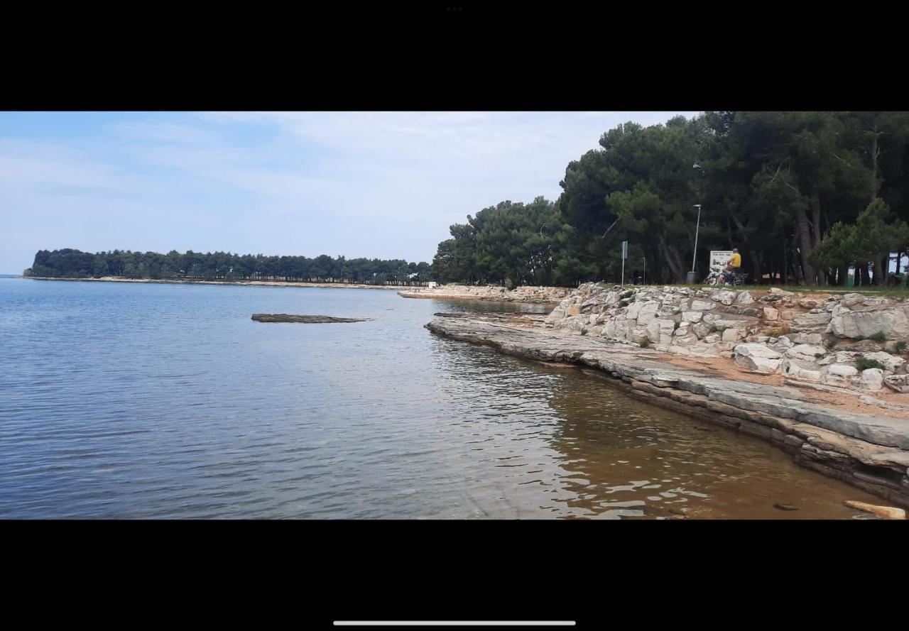 Sija Novigrad Novigrad (Istria)